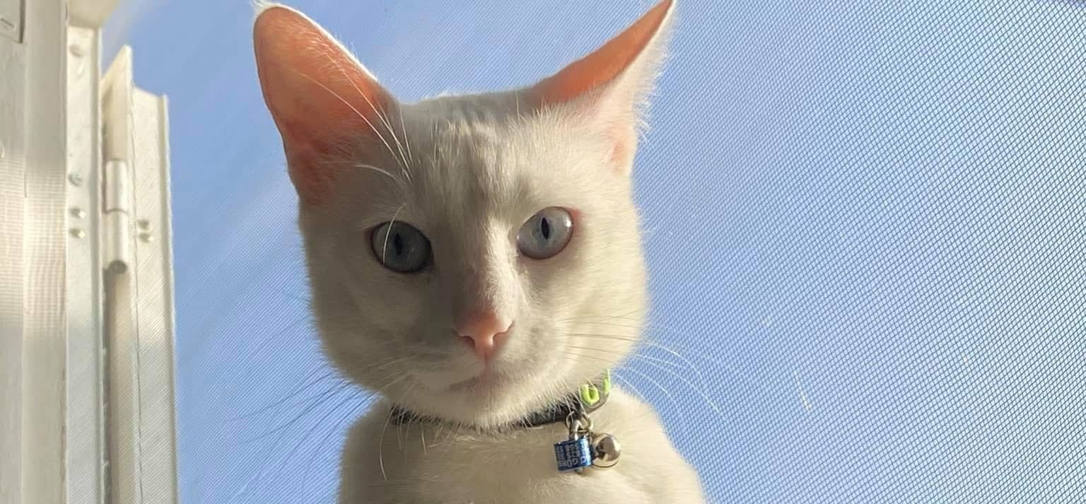 Hüseyin Emre Gürses kapak fotoğrafı